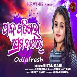 Pada Padigala Prema Batare